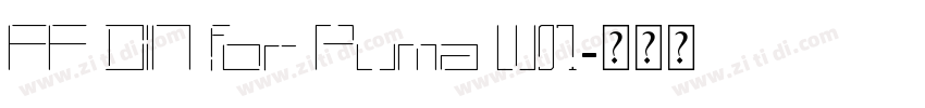 FF DIN for Puma W07字体转换